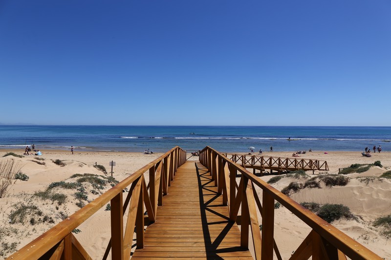 5 Razones para Visitar Torrevieja Este Verano: Playas, Diversión y Gastronomía